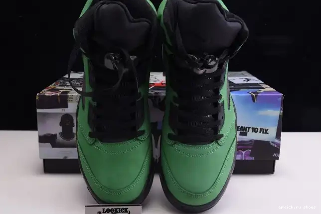 Rep 5 CK6631-307 Ducks Jordan SE Oregon Air 0525